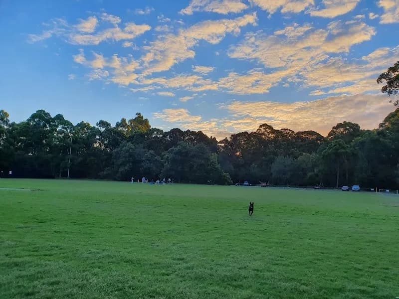 View of Artarmon Reserve in Hornsby, NSW