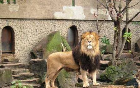 ARTIS zoo in Amsterdam, NH