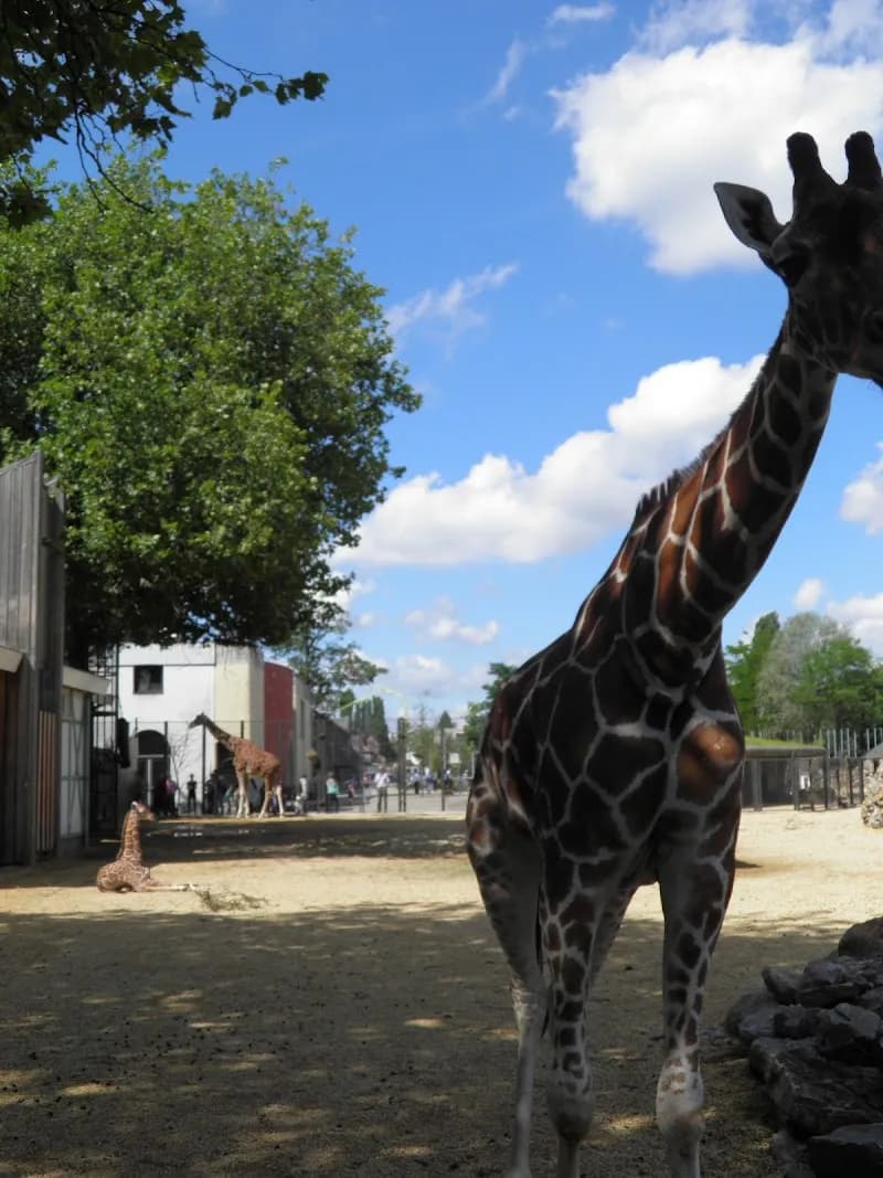 View of ARTIS in Amsterdam, NH