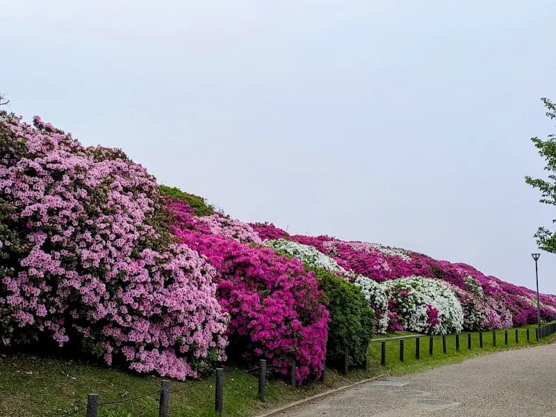Asakayama Park park in Yao, Osaka
