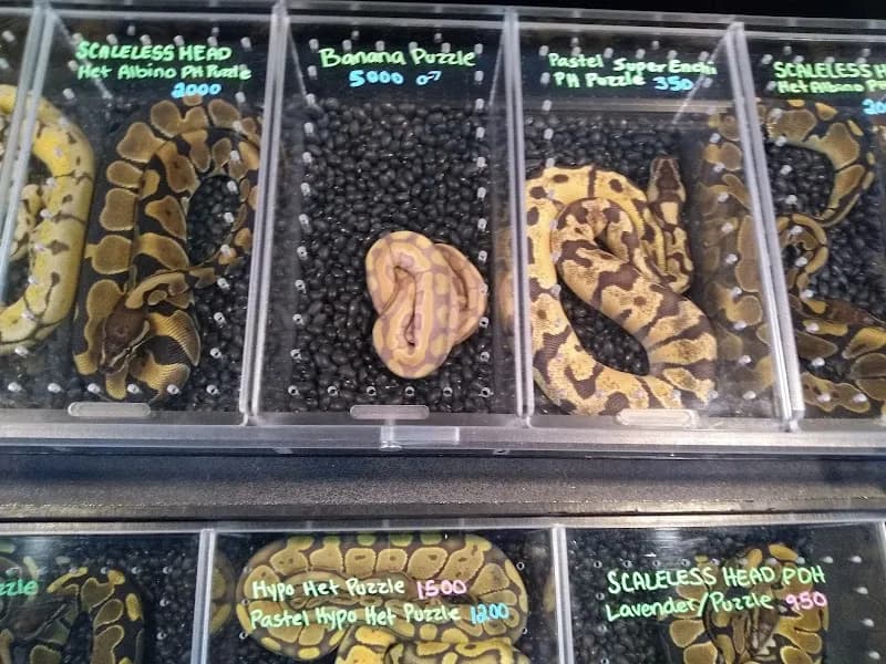 View of Ascension Parish Recreation in Prairieville, LA