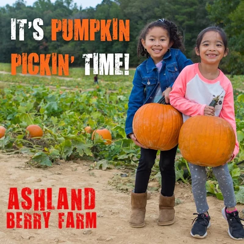 View of Ashland Berry Farm Inc in Ashland, VA