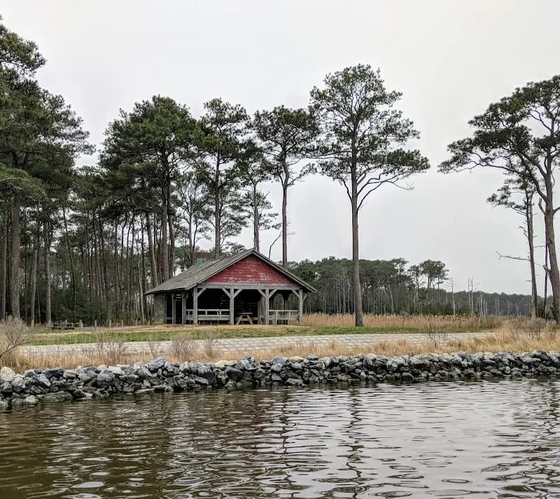 View of Assawoman Wildlife Area in Ocean City, MD