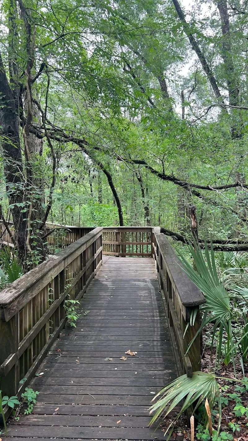 Atchafalaya Trace Nature Trail outdoor adventure in Lafayette, LA