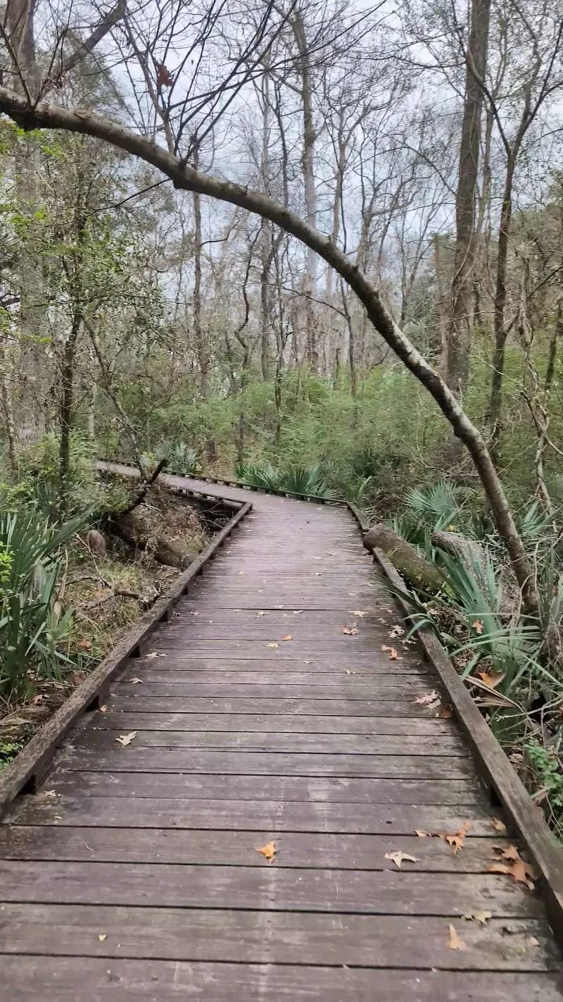 View of Atchafalaya Trace Nature Trail in Lafayette, LA