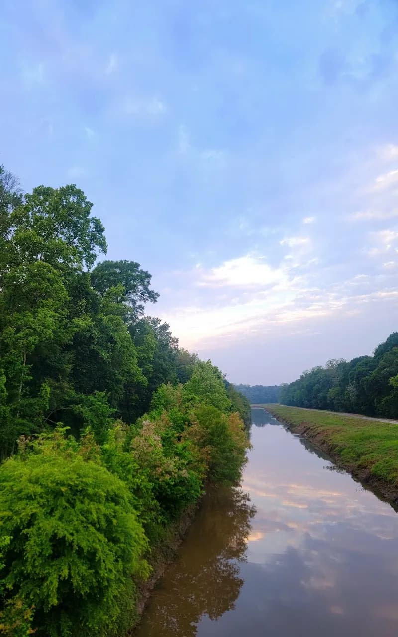 View of Atchafalaya Trace Nature Trail in Lafayette, LA