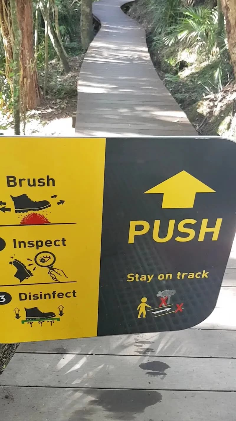 View of Atkinson Park in Titirangi, AKL