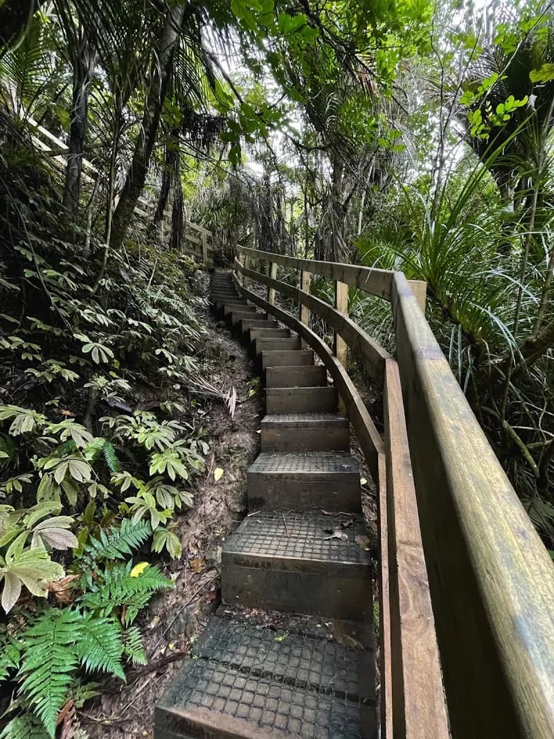 View of Atkinson Park in Titirangi, AKL