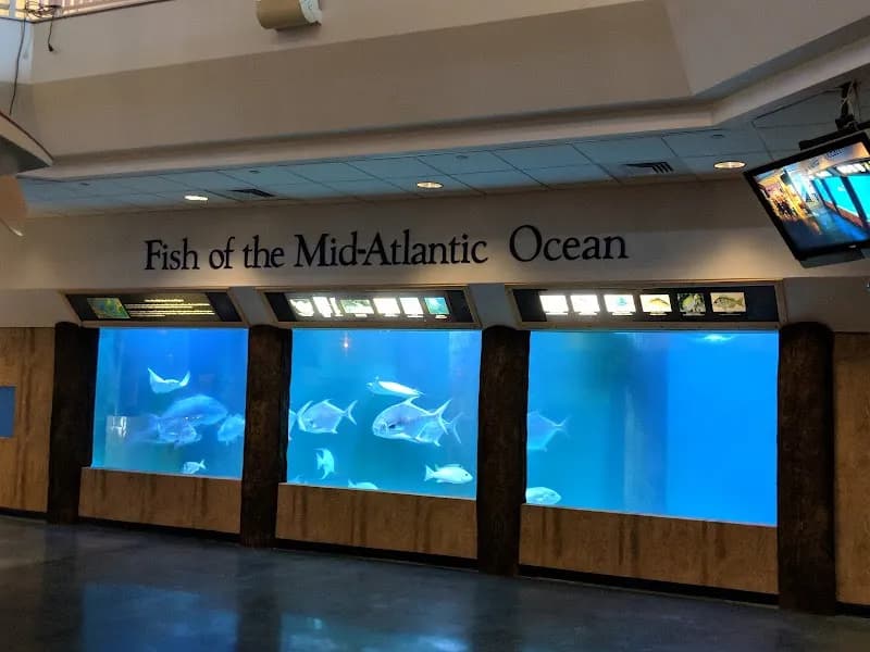 Atlantic City Aquarium aquarium in Atlantic City, NJ