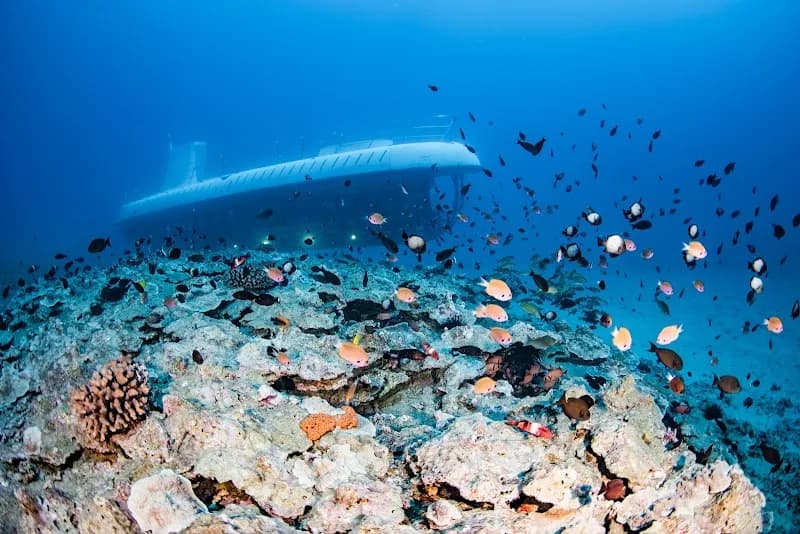 Atlantis Submarines Maui tour agency in Maui, HI