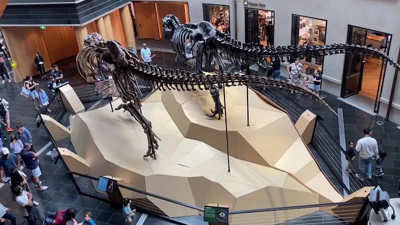 View of Auckland Museum - Discovery Centre in Auckland, AKL