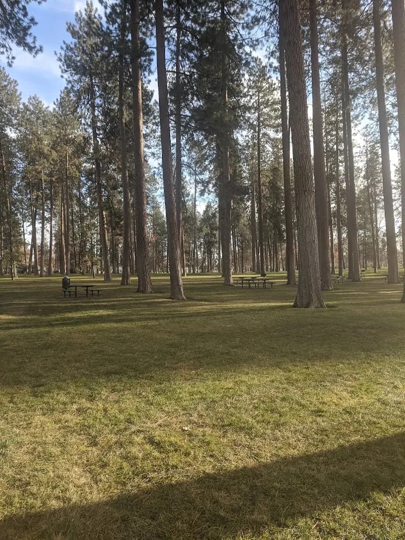 View of Audubon Park in Spokane, WA