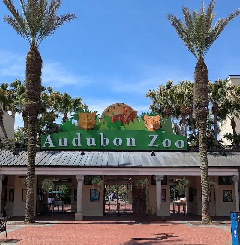 Audubon Zoo zoo in Uptown, LA