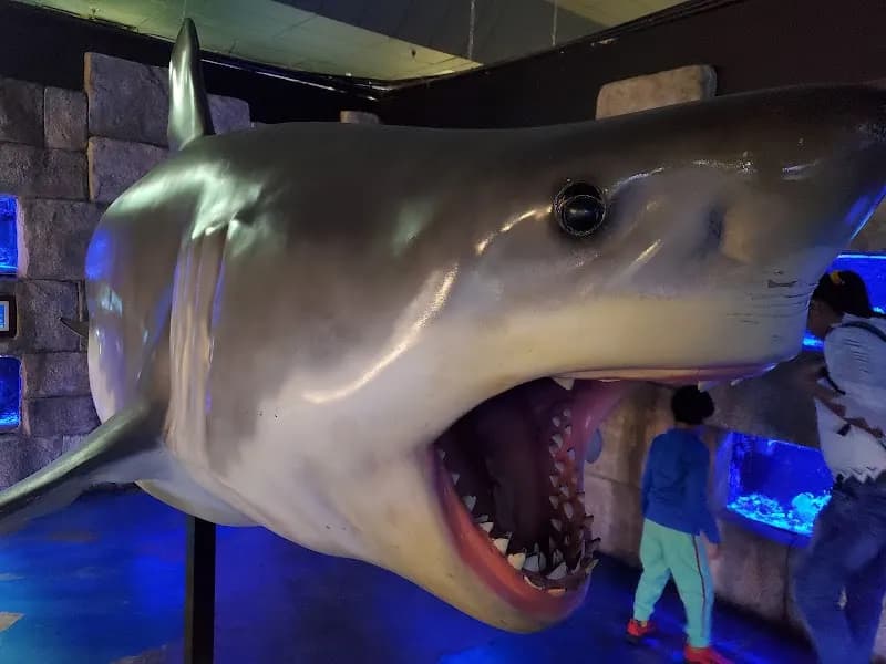 View of Austin Aquarium in Austin, TX