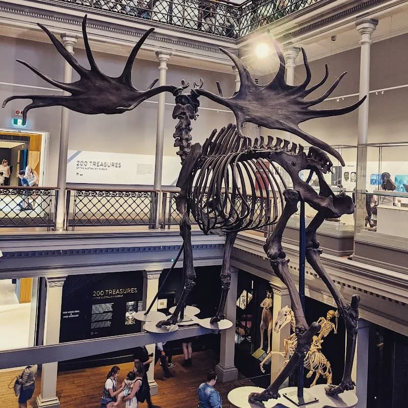 View of Australian Museum in Sydney, NSW