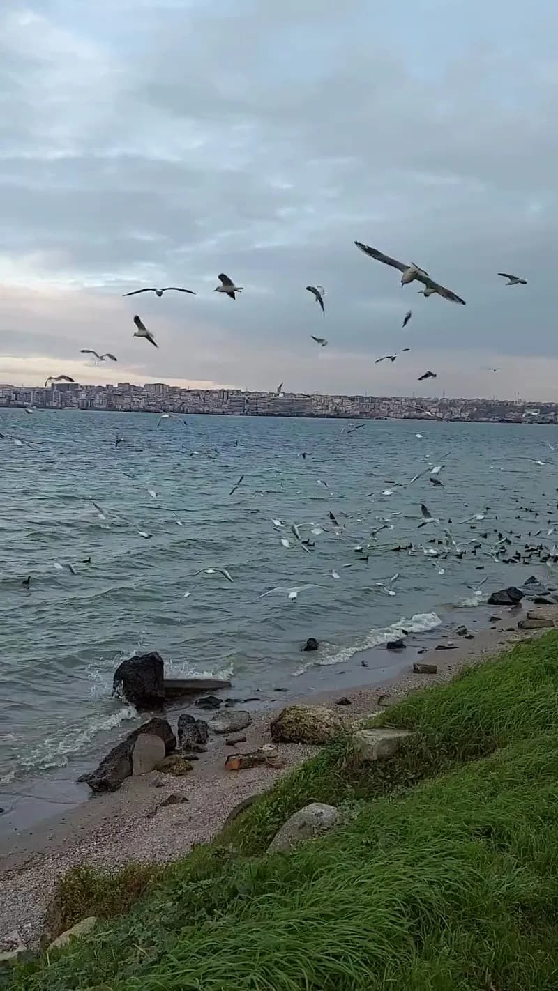 View of Avcılar Ege Parkı in Avcılar, Istanbul