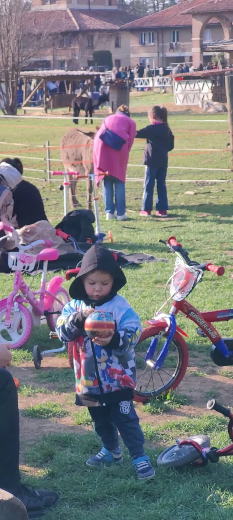 View of Azienda Agricola Fratelli Colosio in Monza, Lombardy