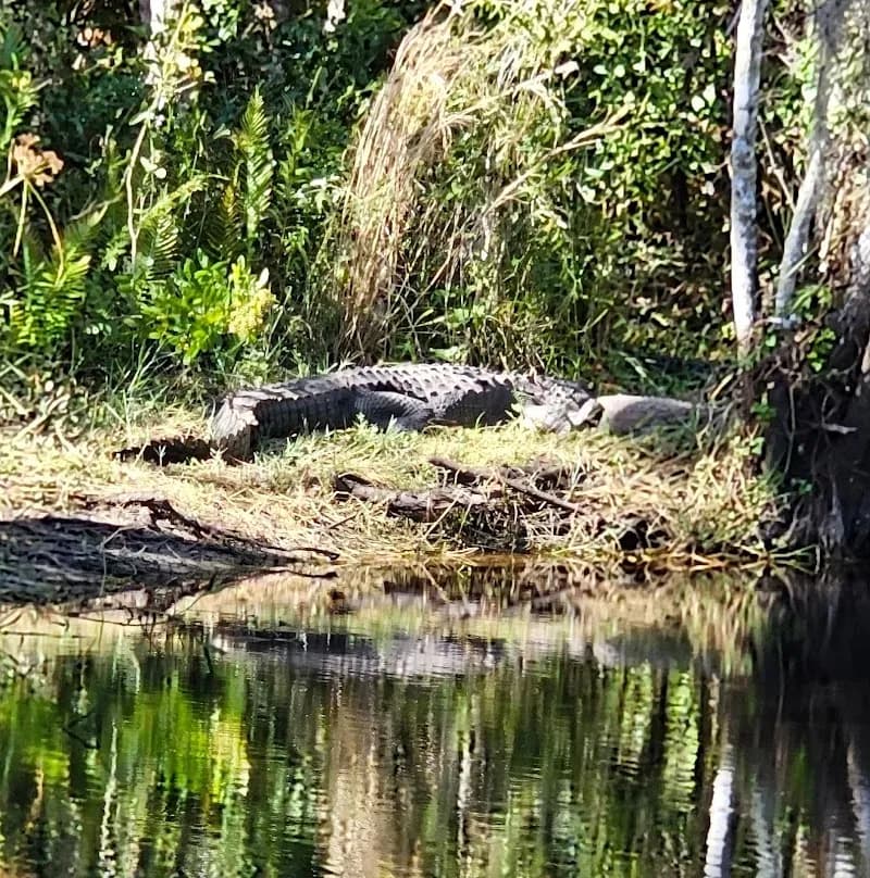 View of Babcock Ranch Eco Tours in Fort Myers, FL