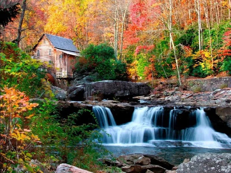 Babcock State Park state park in Fayetteville, WV