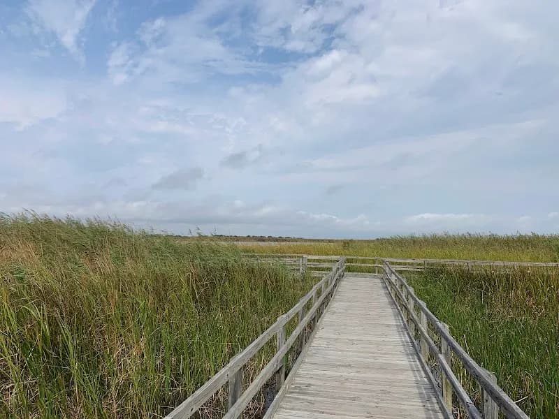 Back Bay National Wildlife Refuge wildlife refuge in Virginia Beach, VA