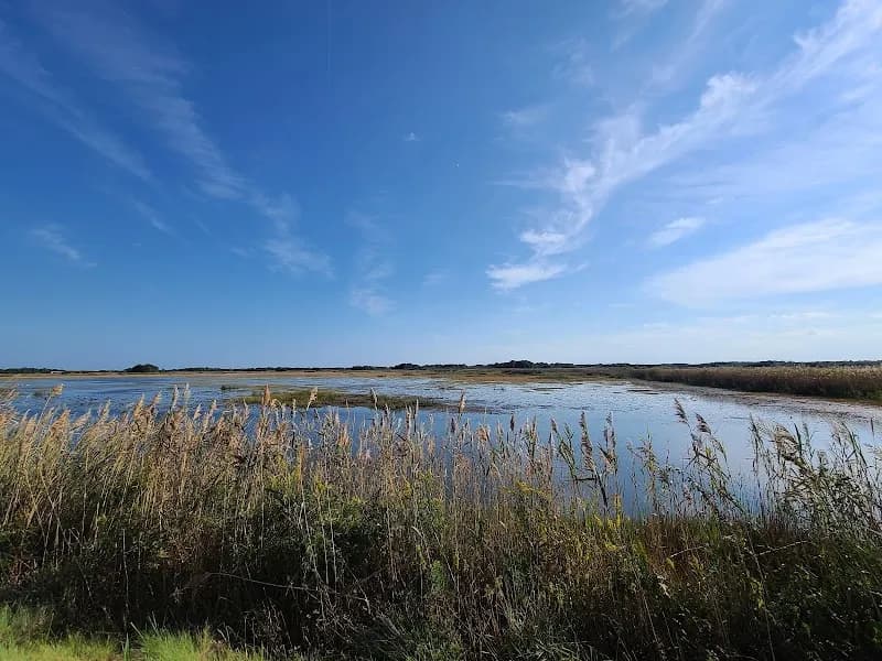 View of Back Bay National Wildlife Refuge in Virginia Beach, VA