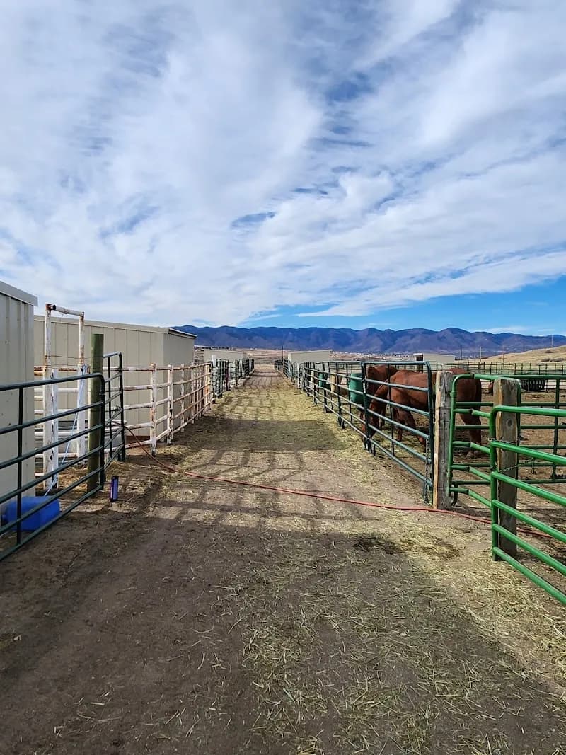 Backcountry Wilderness Area Horse Corrals tour agency in Highlands Ranch, CO