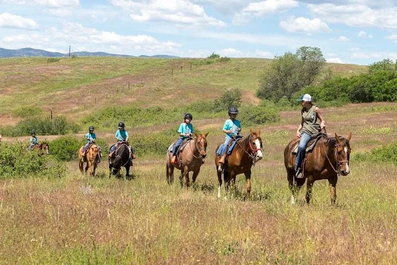 View of Backcountry Wilderness Area Horse Corrals in Highlands Ranch, CO