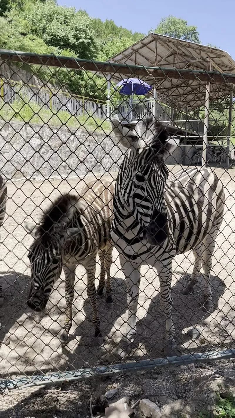 View of Badaling Wildlife World in Yanqing District, Beijing