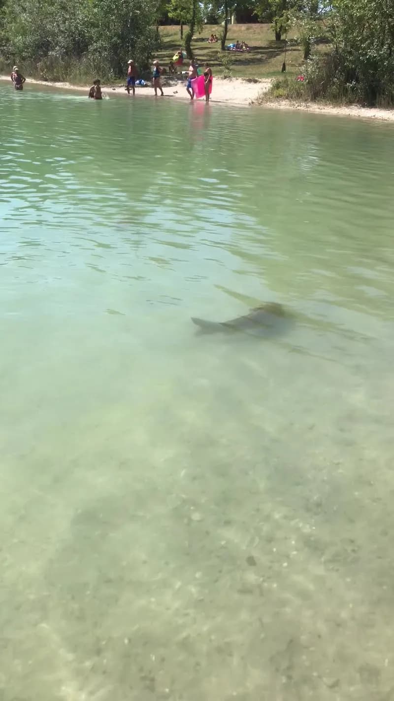 View of Badeteich Hirschstetten - Trainingspark ISW in Hirschstetten, VIE