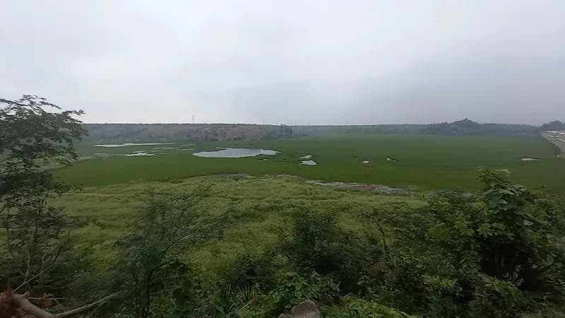 View of Badkhal Lake in Faridabad, HR