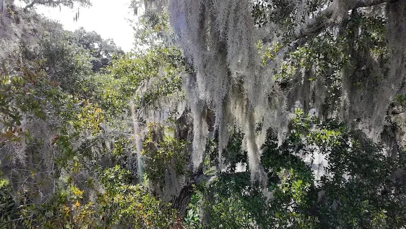 View of Bagdad Boat Ramp in Bagdad, FL