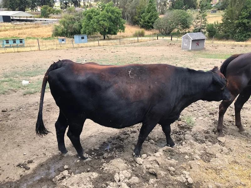 Bale of Fun Farm farm in Pacifica, CA