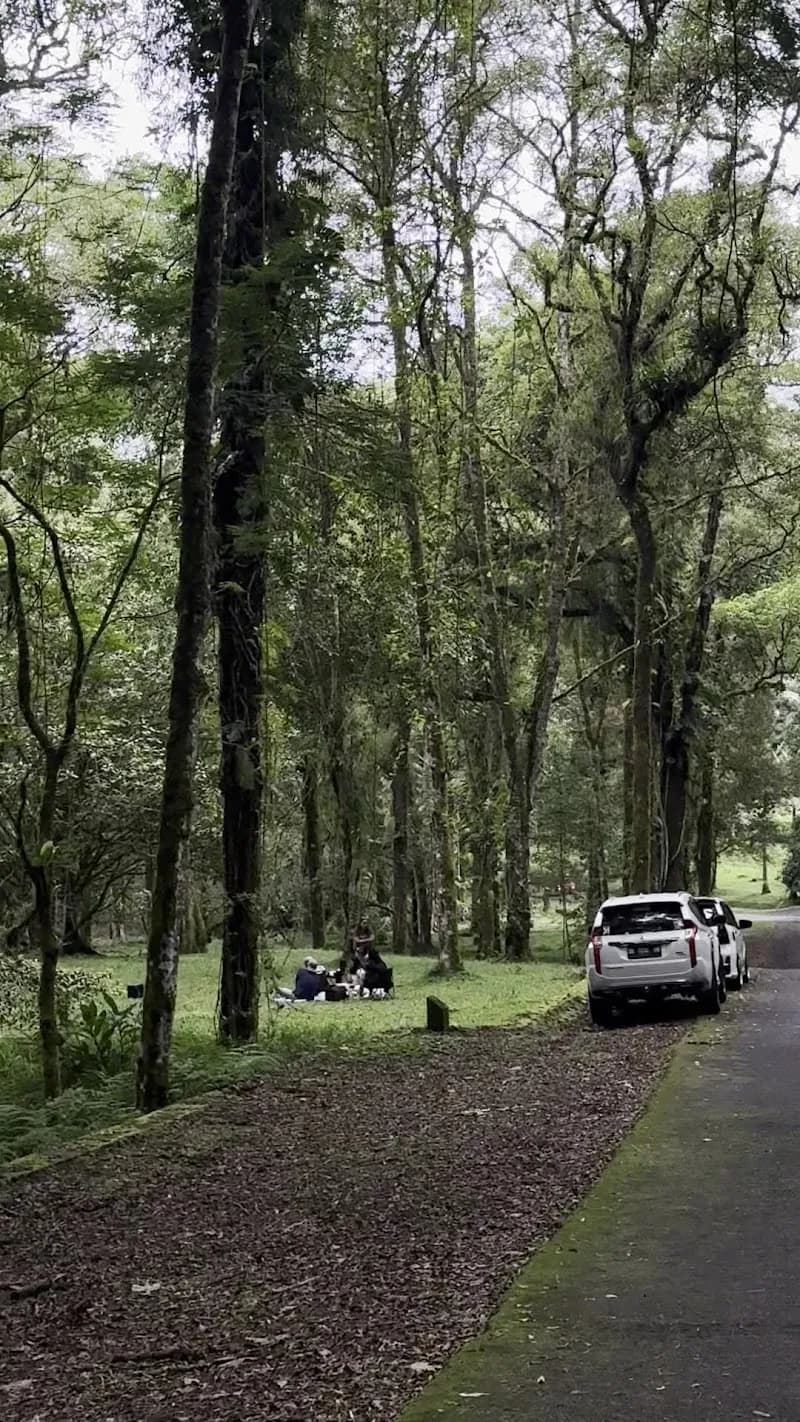 View of Bali Botanical Garden in Jatiluwih, Bali