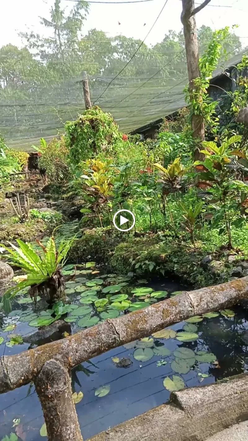 View of Bali Butterfly Park in Bali, BA