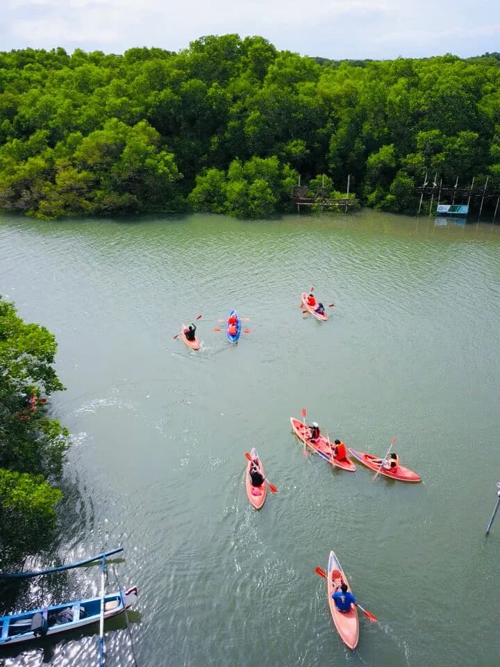 View of Bali Mangrove Forest Tour in Sanur, Bali