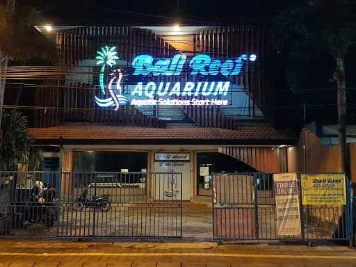 Bali Reef Aquarium pet store in Sanur, Bali