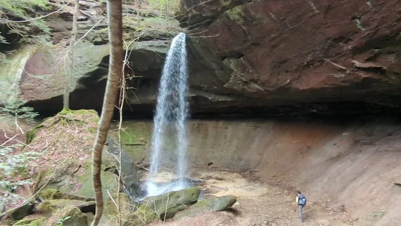 View of Bankhead National Forest in Double Springs, AL