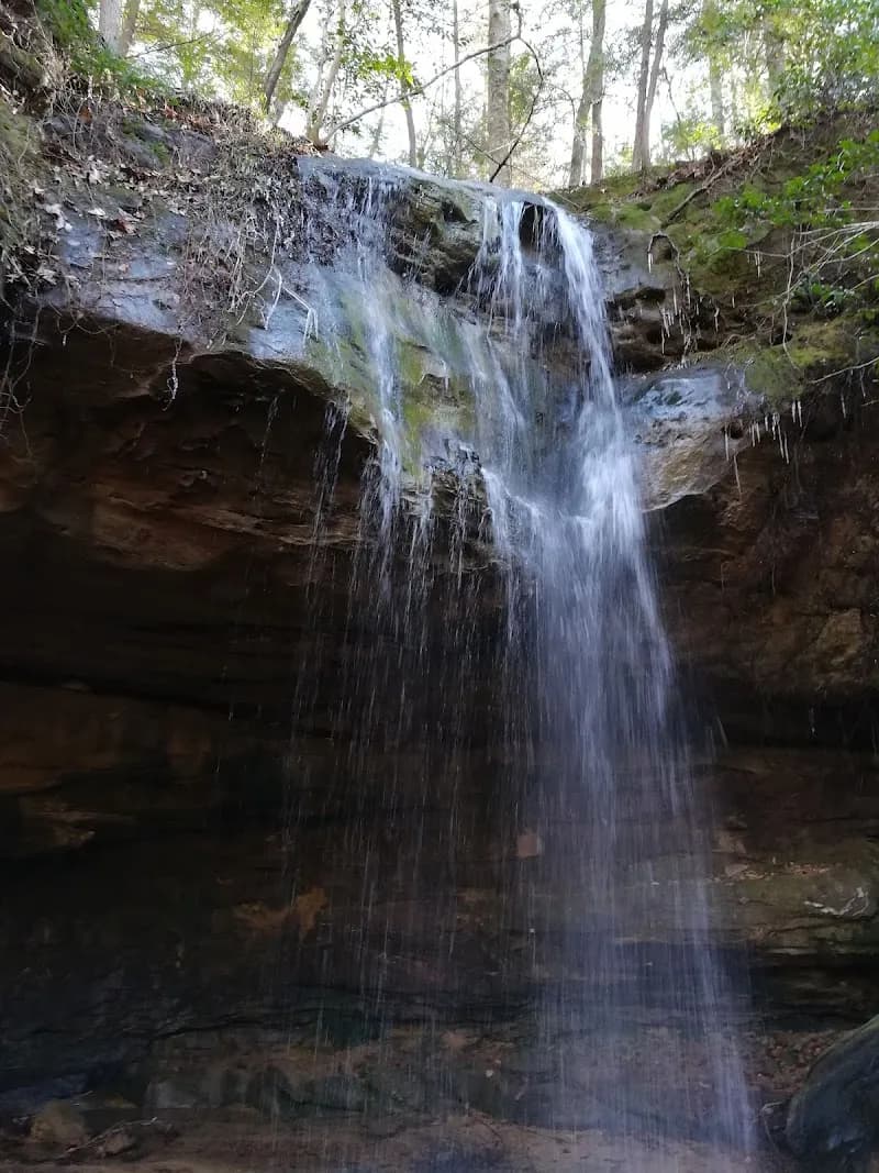 View of Bankhead National Forest in Double Springs, AL
