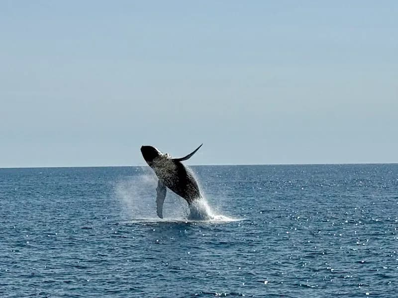 View of Bar Harbor Whale Watch Co in Bar Harbor, ME