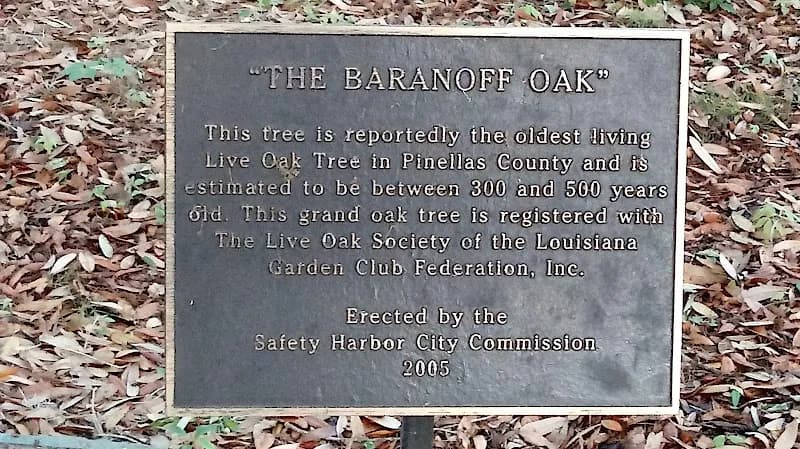 View of Baranoff Park in Safety Harbor, FL