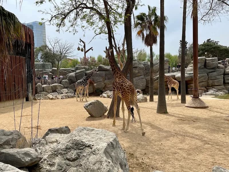 View of Barcelona Zoo in Barcelona, CT