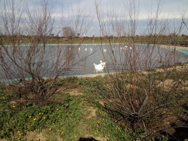 Barranco del Canto echado (Bosquesur) park in Leganés, Madrid