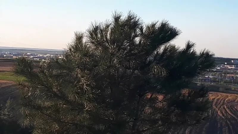 View of Barranco del Canto echado (Bosquesur) in Leganés, Madrid