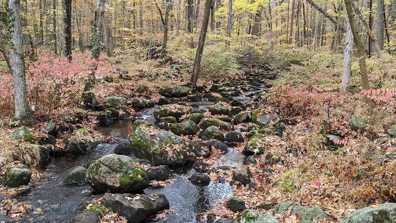 View of Bartlett Arboretum & Gardens in Stamford, CT