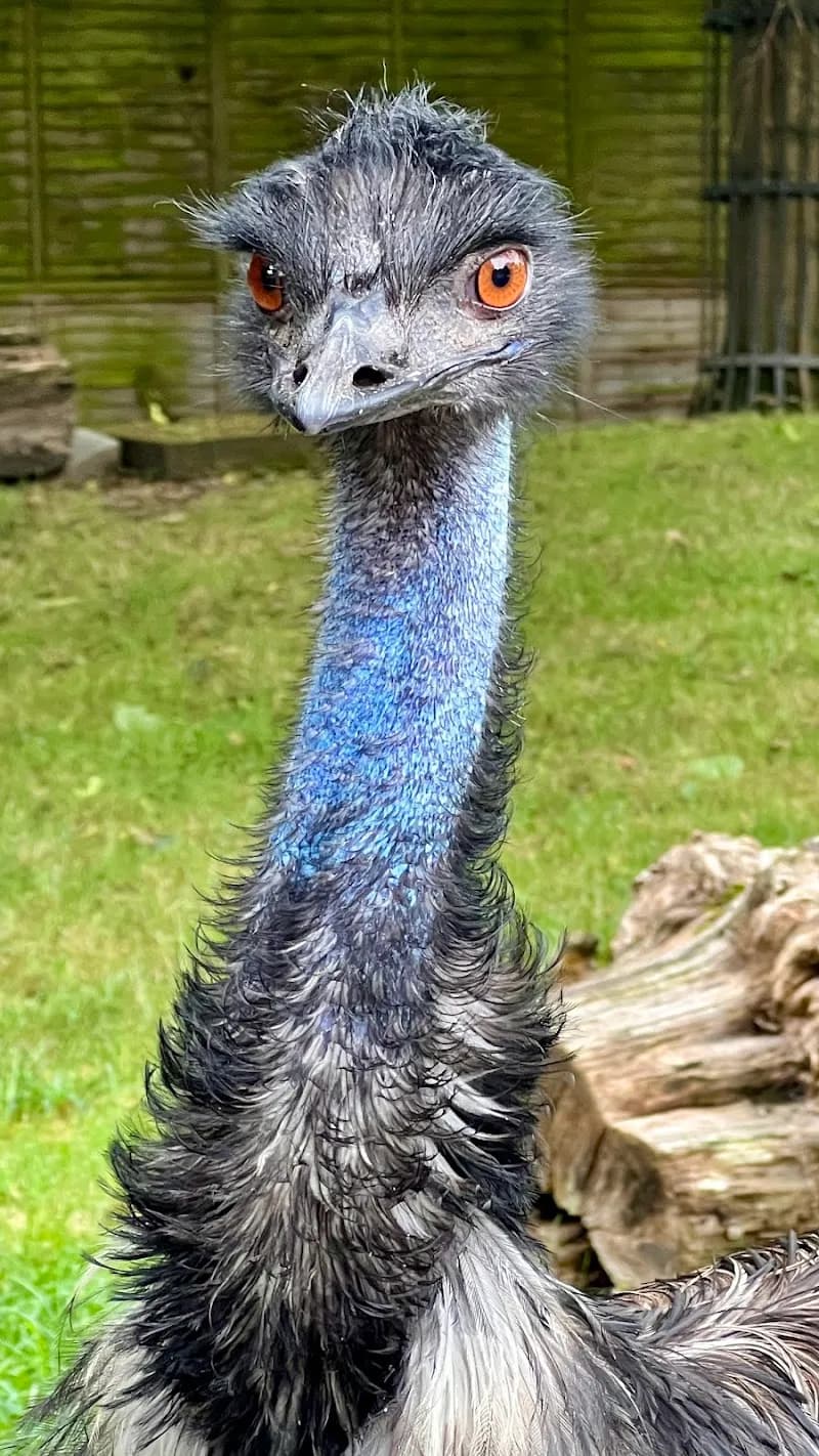 View of Battersea Park Children's Zoo in Clapham, London