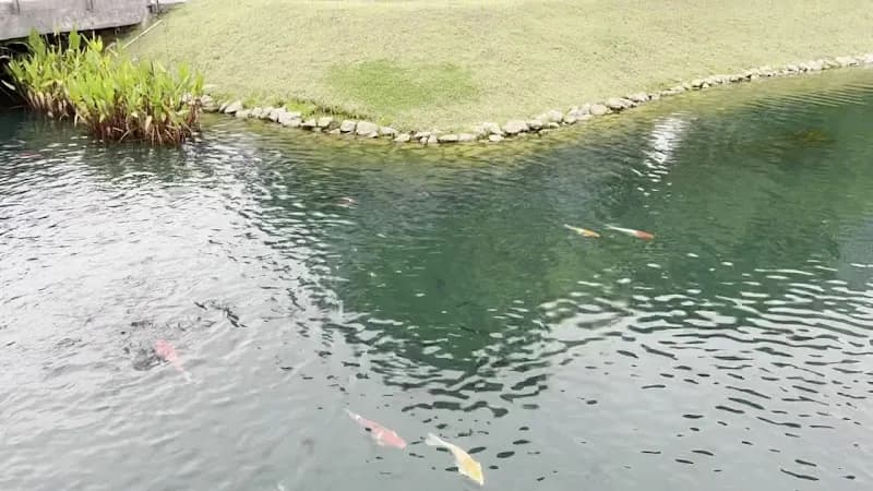 View of Batu Kawan Recreational Trail in Kepala Batas, Penang