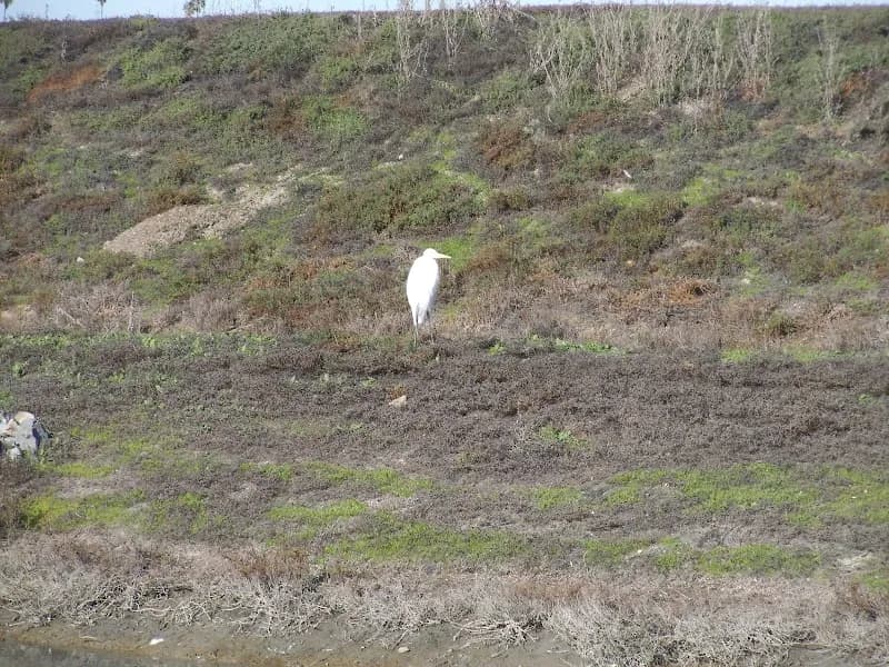 View of Bay Trail in Redwood City, CA