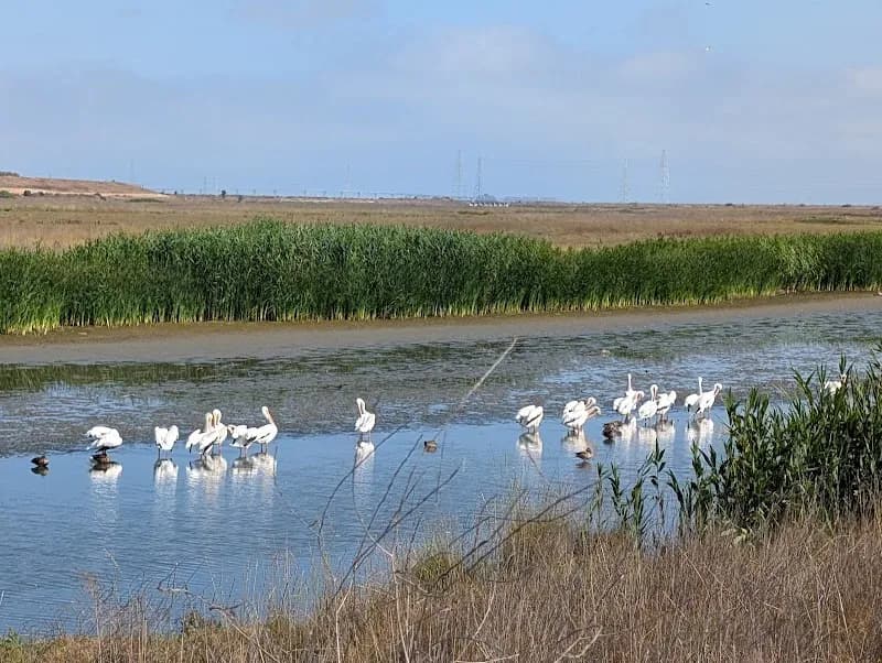 Baylands Nature Preserve nature preserve in Palo Alto, CA