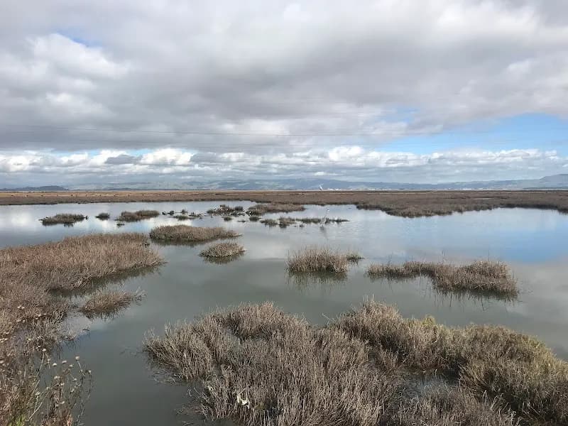 View of Baylands Nature Preserve in Palo Alto, CA