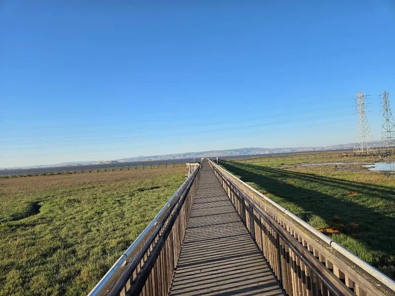View of Baylands Nature Preserve in Palo Alto, CA